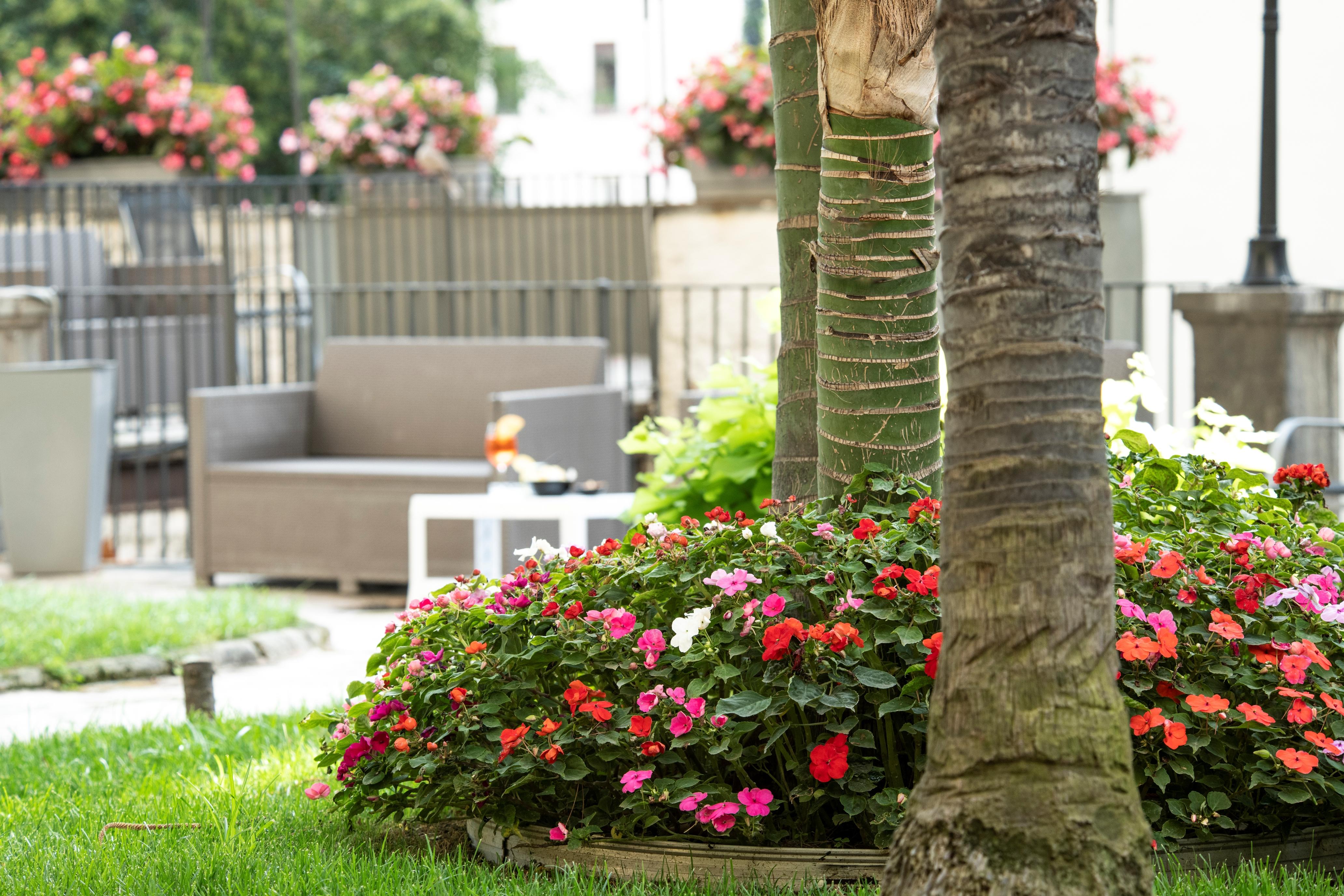 Villa Elisio Hotel & Spa Napoli Bagian luar foto